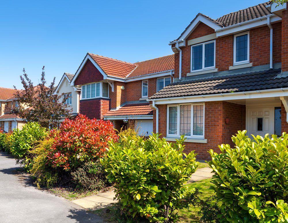 Homestead exemption
