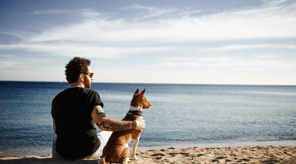 27_beach-web-1024x568-1920w.jpg
